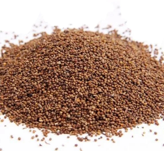 Natural Wild New Dodder Semen Harvested Dried Fruits Pure Dodder Seed for Tea