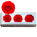 Preserved Rose Flowers Immortal Rose 7-8CM Diameter DIY Wedding Eternal Life Flower Material Gift Preserved Real Roses Wholesale