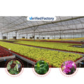 BAOLIDA Shading System Rolling Bench Greenhouse Cover Plastic Films Flower Multi-span Greenhouses for Agriculture