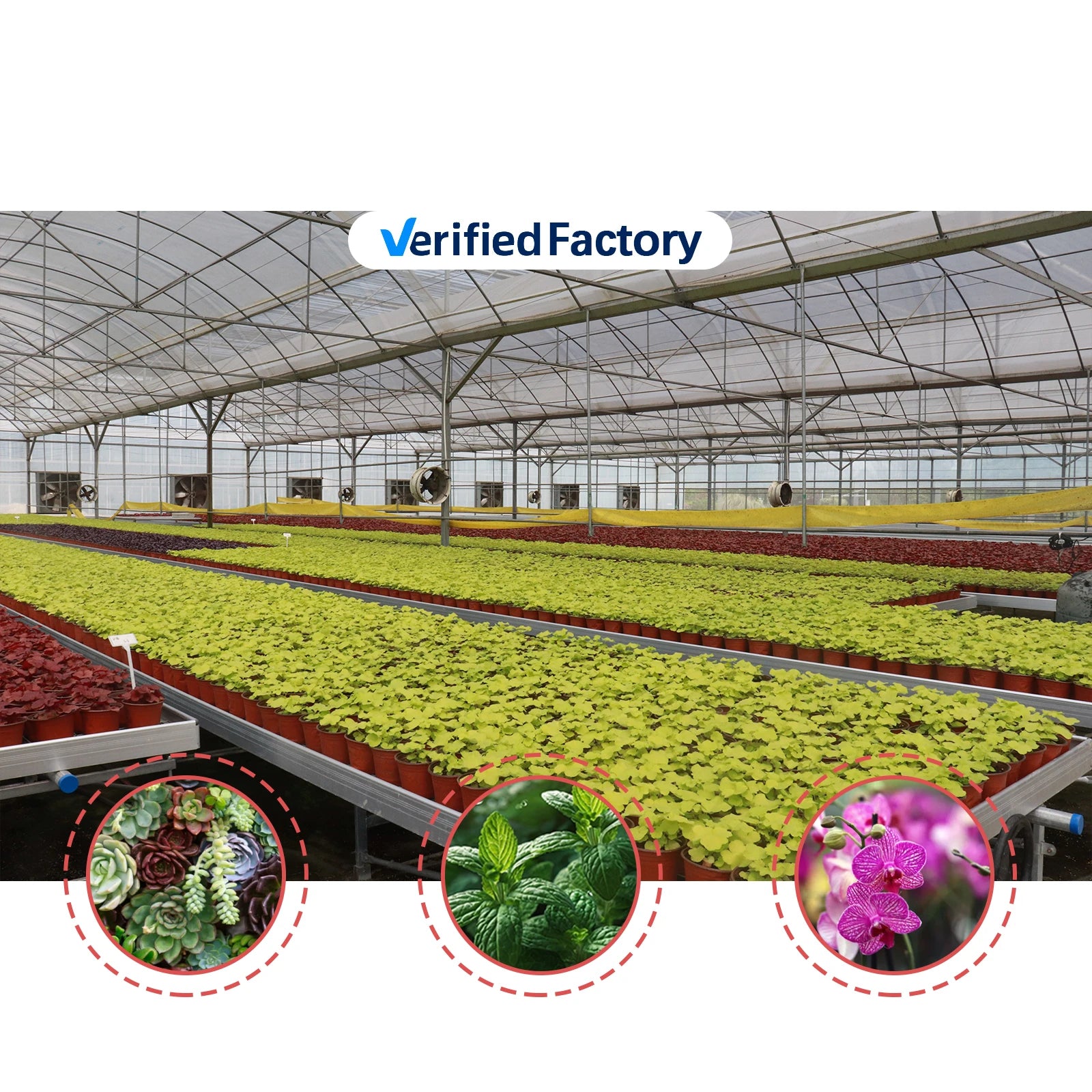 BAOLIDA Shading System Rolling Bench Greenhouse Cover Plastic Films Flower Multi-span Greenhouses for Agriculture