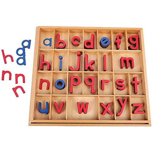 Montessori Educational Materials Preschool Language Spelling Learning Moveable Alphabet Montessori Toys