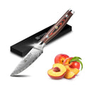 Unique 3.5-inch 67 Layers Kitchen Chef Knife Damascus Stainless Steel Fruit Paring Knife Small Kitchen Peeling Knife