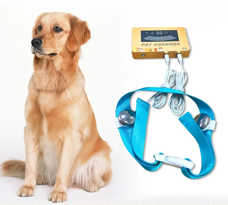 2025 New Arrival Pet Quantum Health Analyzer Home Use Quantum Magnetic Resonance Analyzer Pet Clinic Cats and Dogs