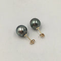 8-10 mm Nature Tahitian Sea Salt Pearl Earringfashion 14K Gold Filled Stud Earrings for Wedding Near Round Pearl a Grade Flaws