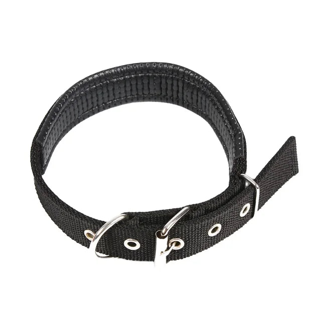 RM Wholesale of Pet Supplies Pet Collars at Special and Low Prices Environmental protection Materials