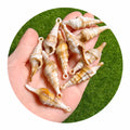 100pcs Miniature Natural Stone Beads for Jewelry Making 3D Acrylic Charms Top Hole Handy Craft
