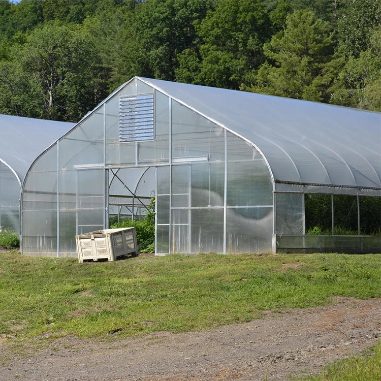 8x30m Single Span Tunnel Tomato Greenhouse Frames Plastic Film Agriculture Greenhouse for Commercial Tomato Planting
