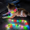 LED Light up Dog Leash and Collar Waterproof USB Rechargeable Flashing Glow in the Dark Dog Leash with Luminous Flashlight