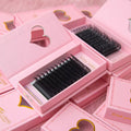 Wholesale Vendor Mega Eyelash Extension Volume Lash Trays 0.05mm Mega Volume False Eyelashes Matte 3D Easy CD Made Cashmere