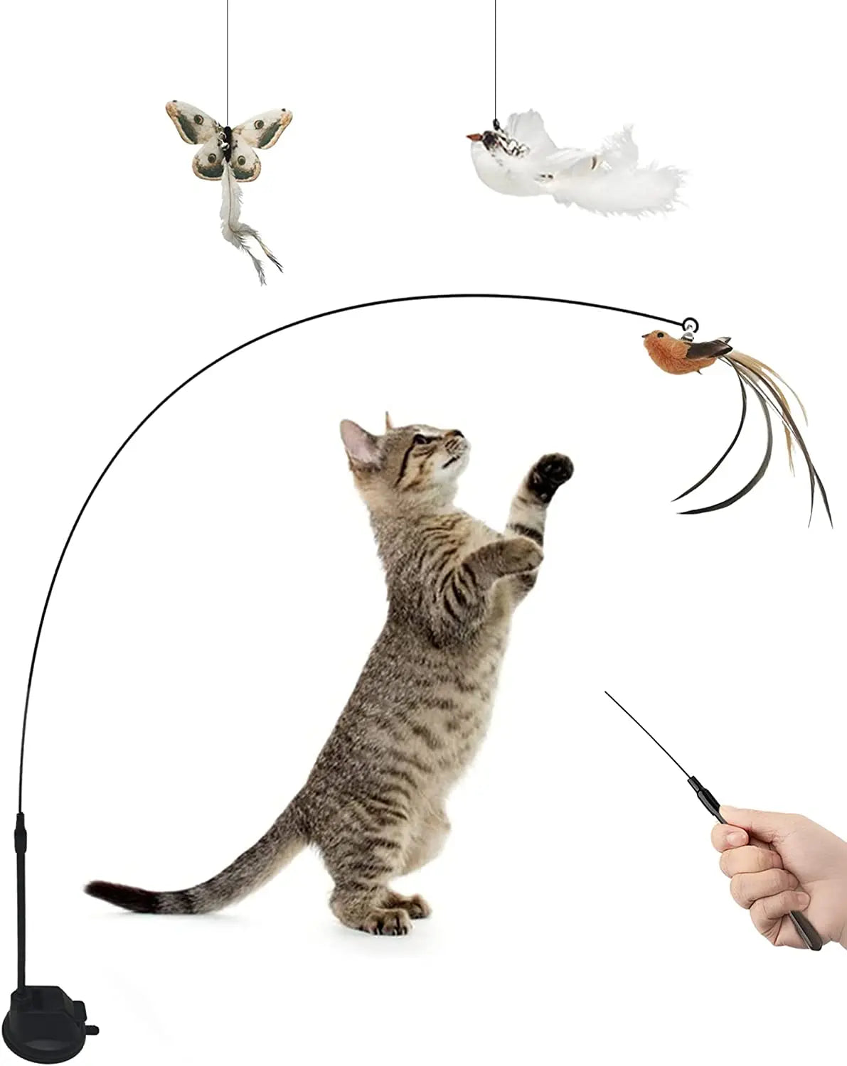 3 PCS Feather Replacements Interactive Indoor chase Pet Toy Cat Teaser Wand Feather Toy with Suction Cup