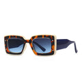 0041 Luxury Brand Double Color Frame Sunglasses Vintage Small Square Print Sun Glasses with Chic Eyewear Leopard Brown Men Women
