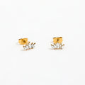 Fenny 18K Gold-plated No Fade Light Luxury 5 Sweety Zirconia Pave Stud Earring Wholesale Stainless Steel Ladies Jewelry