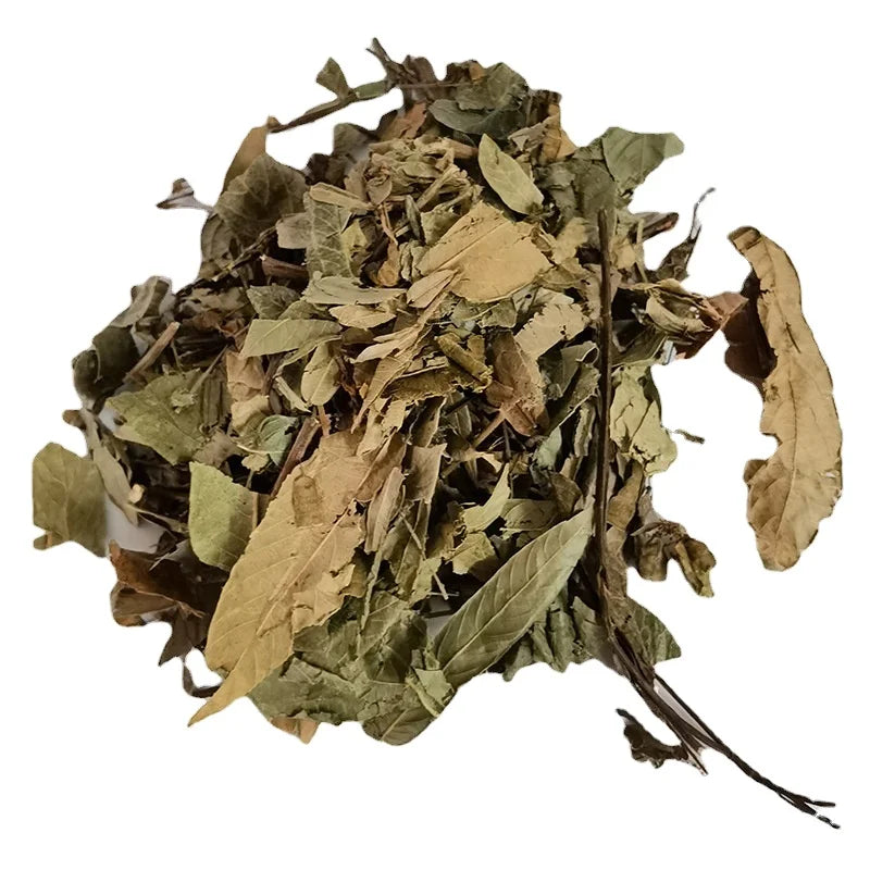 Hu Lu Cha Dried Tadehagi Triquetrum Stem Leaf Cuts Triqretrous Tadehagi Herb for Sale