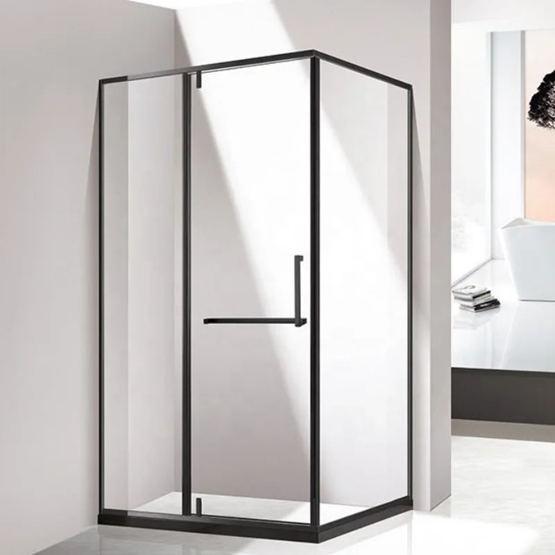 Shower Door Hinge Enclosure Rectangle Two Glass Brushed Stainless Steel 8mm Tempered Clear Glass 5 Year Warranty Modern Hotel