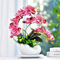 Silk Artificial Orchid Bonsai for Sale Artificial Orchid Plants for Decoration High Quantity Potted Orchid
