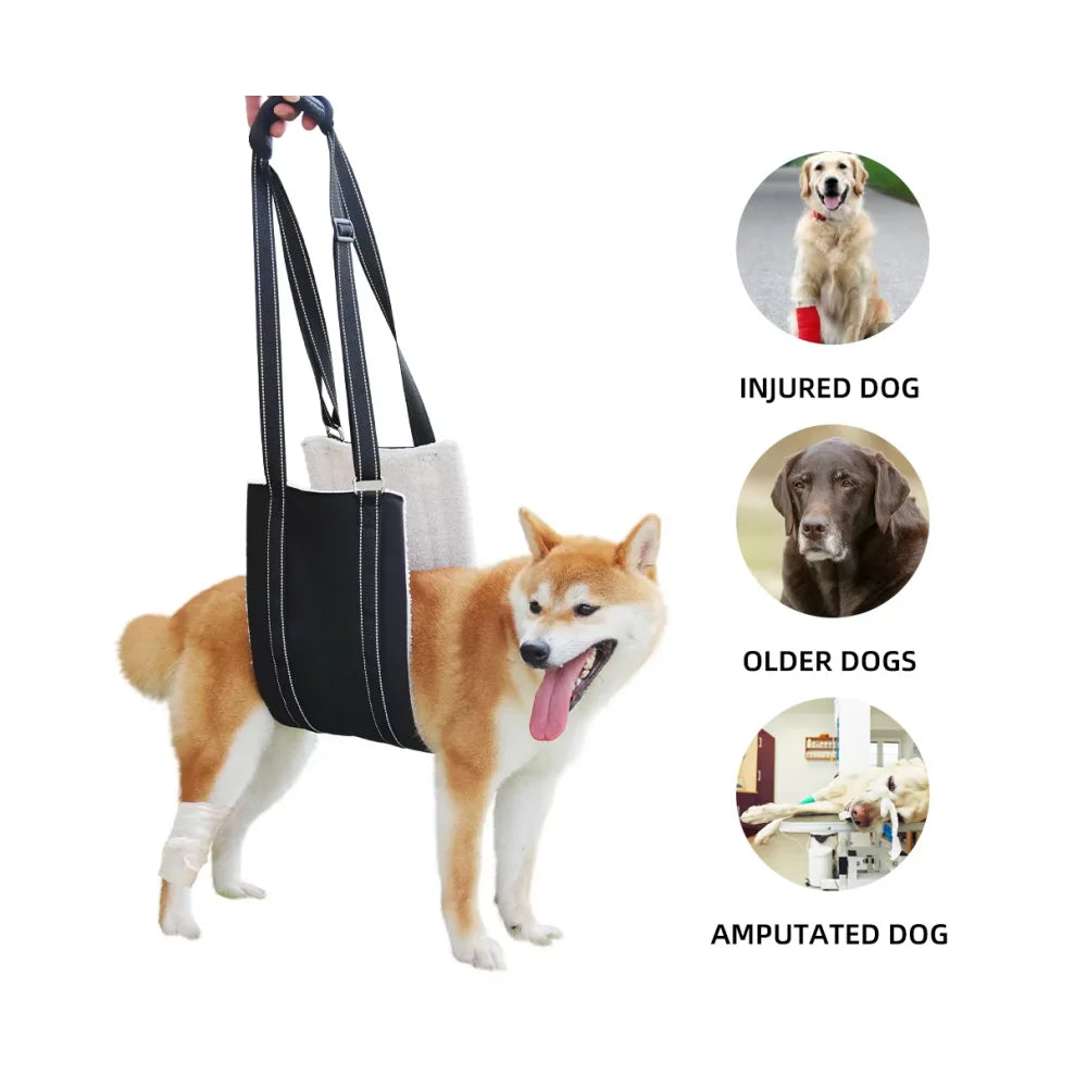 Cushioned Pet Assist Supplies Elderly Dog Disabled Injuried Recovery Rehabilitation Support Harness Portable Back Legs Dog Sling