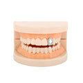 Wholesale Hip Hop Trendy Teeth Grills Colorful Zirconia Brass Braces Copper Gold Plated