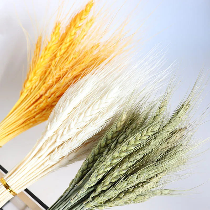 A-1121 Dry Flower Yellow Gold Wheat 100 Stems Bundle Natural Dried Wheat for Wedding Home Store Decor