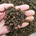 Du Zhong Tuchong  Eucommia Flower 100% Natural Dried Eucommia Ulmoides Whole Flowers for Sale