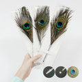 Hot Sale Feather Quill Ballpoint Pen Peacock Feather