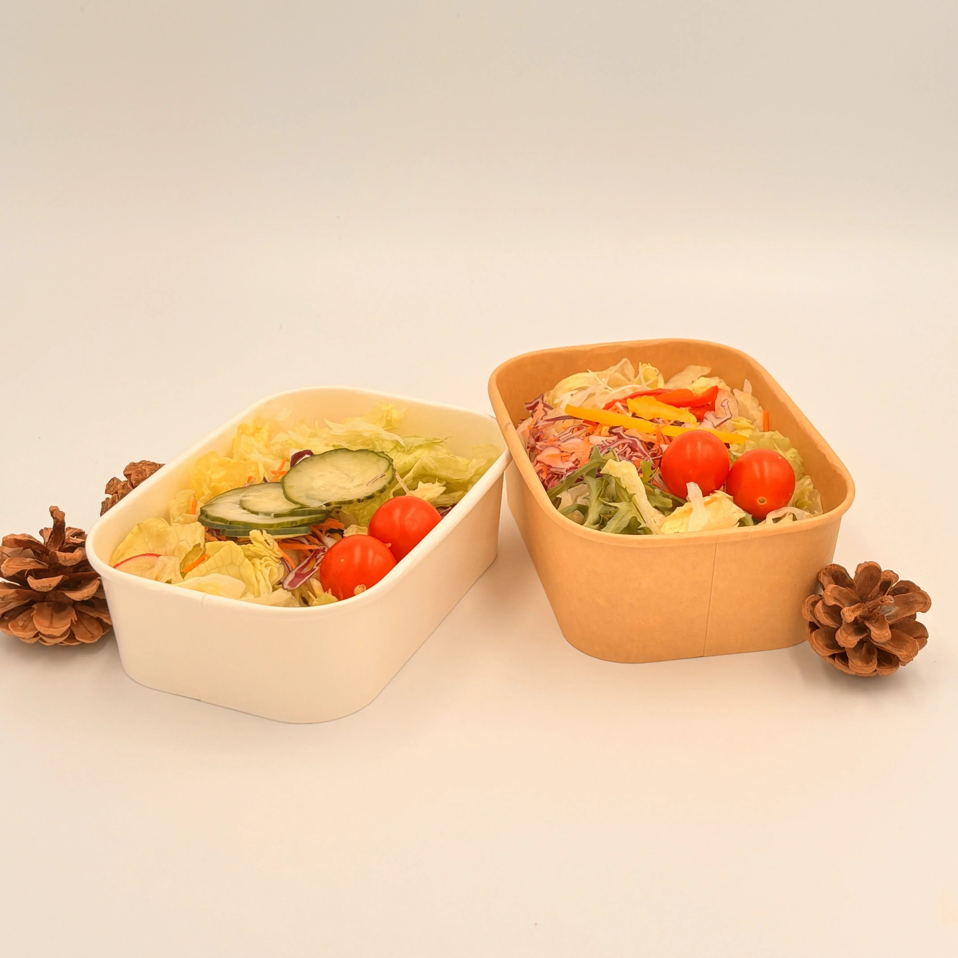 Eco-friendly Biodegradable Compostable Rigid Kraft Paper Disposable Lunch Box with Lid for Sushi and Salad Takeout Packaging
