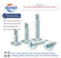 Steel Nails Factory Washer Head Self Drilling Screw Zinc-Plated Truss Head Screws Galvanized Steel Available Bulk