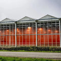 Large Commercial Venlo Multi-Span Glass Greenhouse - Skyplant Model SP-V-P for Professional Agricultural Applications
