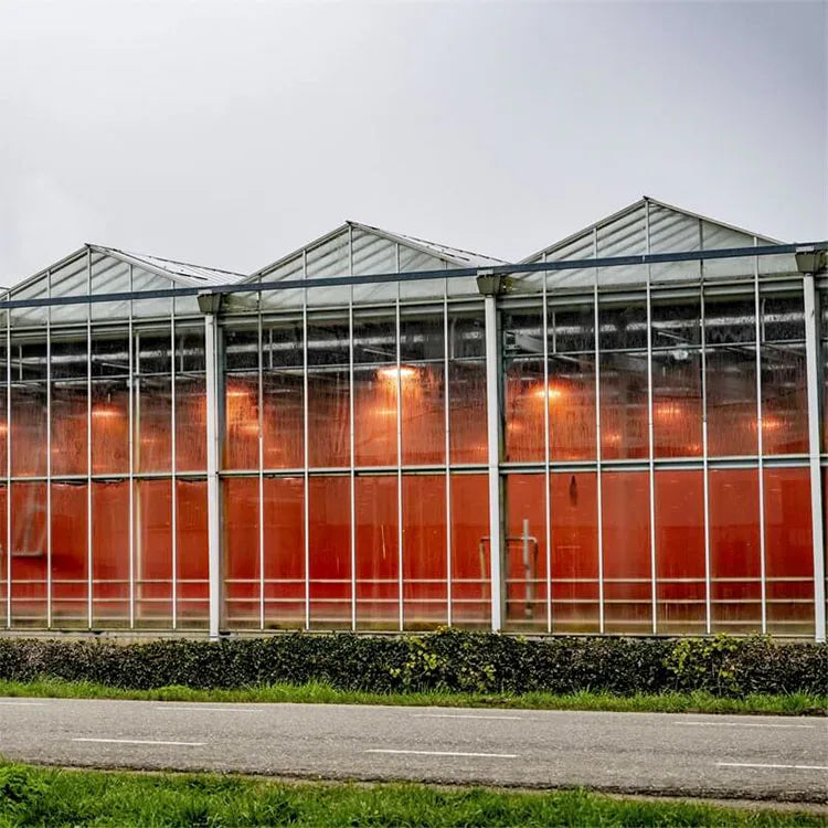 Large Commercial Venlo Multi-Span Glass Greenhouse - Skyplant Model SP-V-P for Professional Agricultural Applications