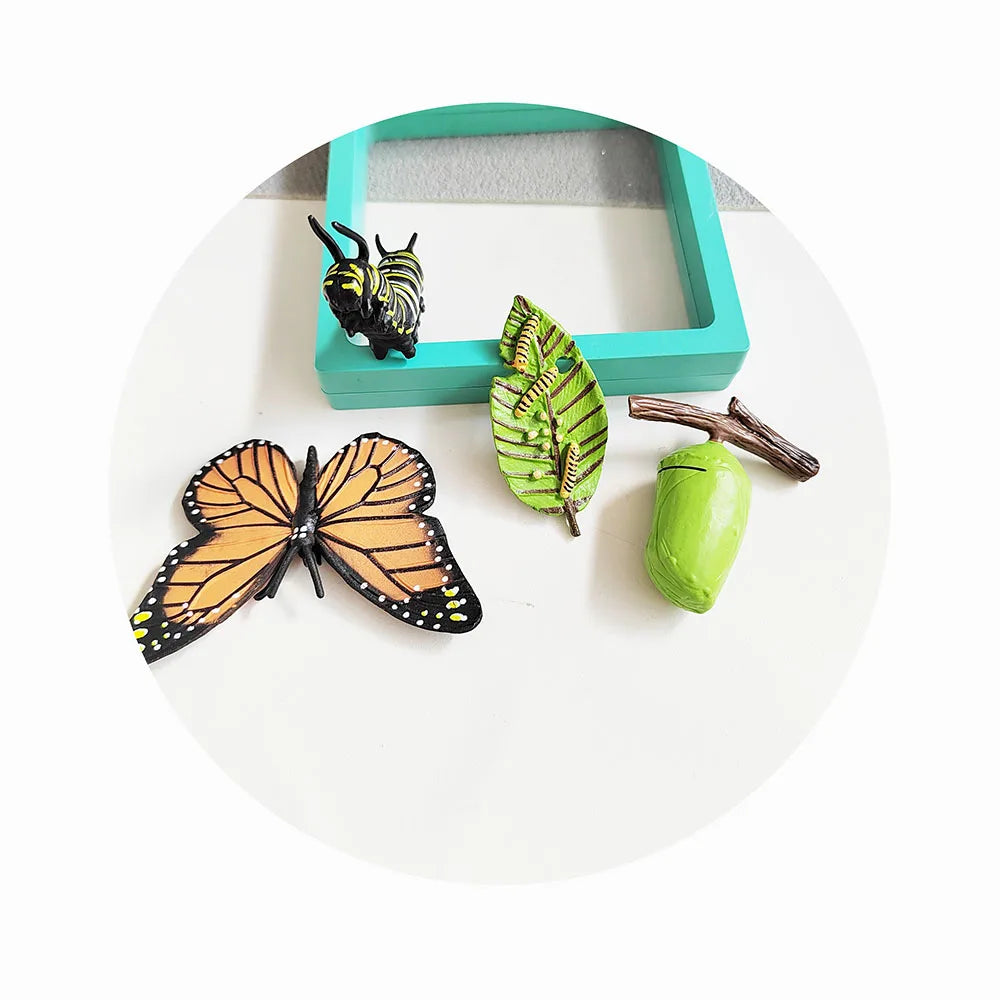 Butterfly Growth Life Cycle Animal Figurine Model Lifelike Action Figure Educational Gift Kids Hot Toy Set