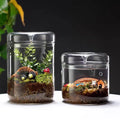 Clear Transparent High Borosilicate Glass Vase Drop Terrarium BPA Free Hand Blown Modern Decorative Eco-Friendly Micro Landscape