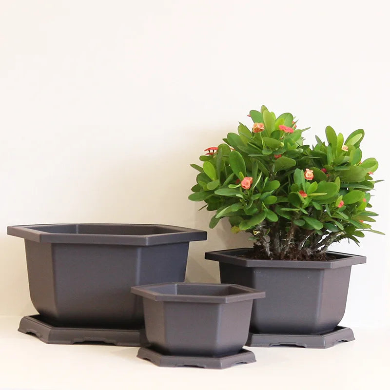 Chinese Factory Directly Wholesale New Training Plastic Hexagonal Bonsai Pot