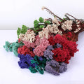 Natural Millet Dry Flowers Preserved Rice Flowers for Easter Bouquets Christmas Graduation Decor and Home Shop Ornamentation