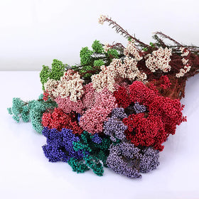 Natural Millet Dry Flowers Preserved Rice Flowers for Easter Bouquets Christmas Graduation Decor and Home Shop Ornamentation