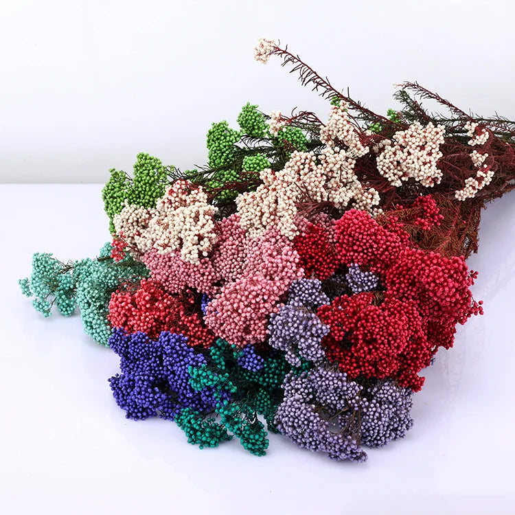 Natural Millet Dry Flowers Preserved Rice Flowers for Easter Bouquets Christmas Graduation Decor and Home Shop Ornamentation