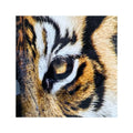 Abstract Paintings Banner Decoration Wall Durable Aluminium Material for Industry Use Lower Price