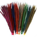 Wholesale Dyed Various Colors Lady Amherst Pheasant Feather Fringe Carnival Feathers