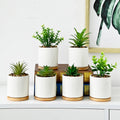 Simple White Creative Ceramic Small Mini Round Succulent Flower Pot