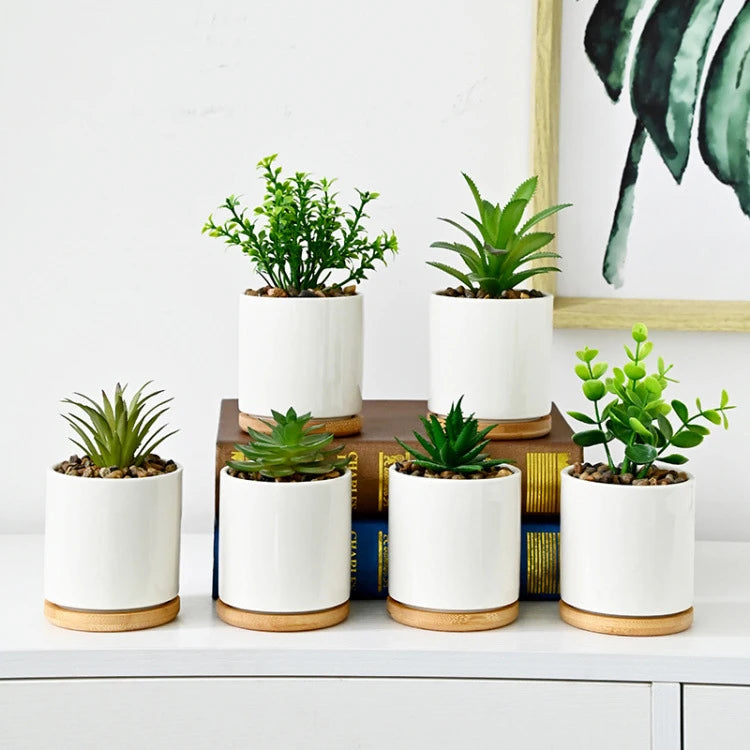 Simple White Creative Ceramic Small Mini Round Succulent Flower Pot