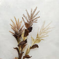 New Design Grass Short Stem Pampas Grass Short Pampas Grass Artificial Flower