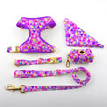 Padded Dog Harness Set Custom Logo Sublimation Print No Pull Pet Supplies Luxury Purple Soft Dog Harness Leash and Collar