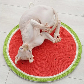 Stocked Wholesale Watermelon Carrot Cat Scratch Pad