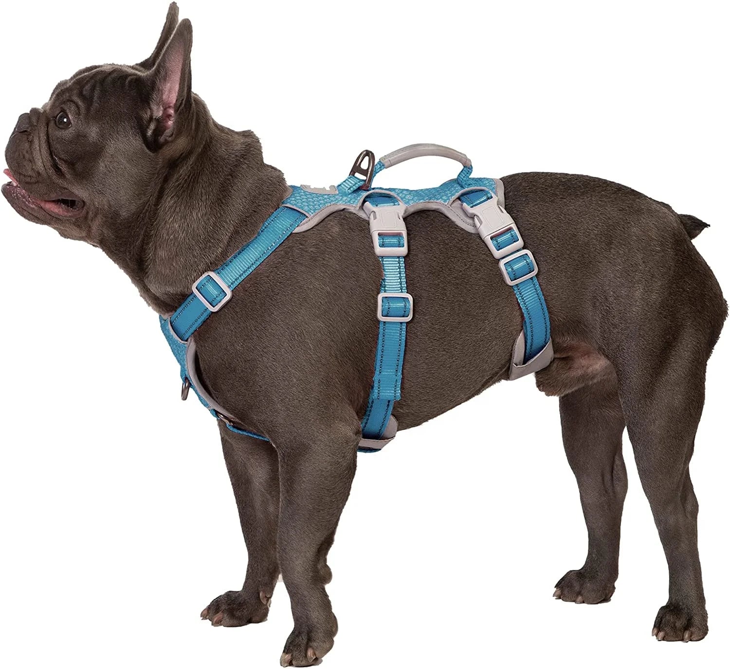 No Escape Luxury Fashion Pet Dog Harness Reflective Padded Handle Breathable Durable Adjustable Nylon Polyester Vest