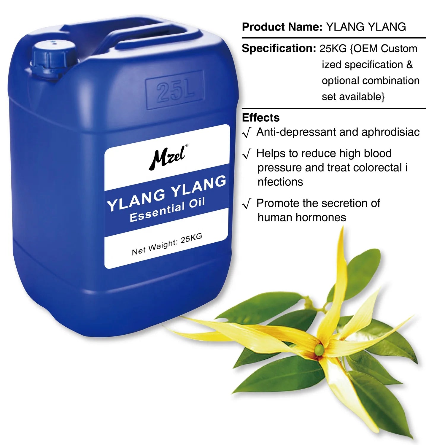 Mzel Wholesale Price OEM Natural Ylang Ylang Essential Oil Bulk Suppliers