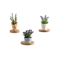 JUNJI Rustic Small Round Shelf Wall Planter Holder Floating Shelf Window Plant Shelf Hanging