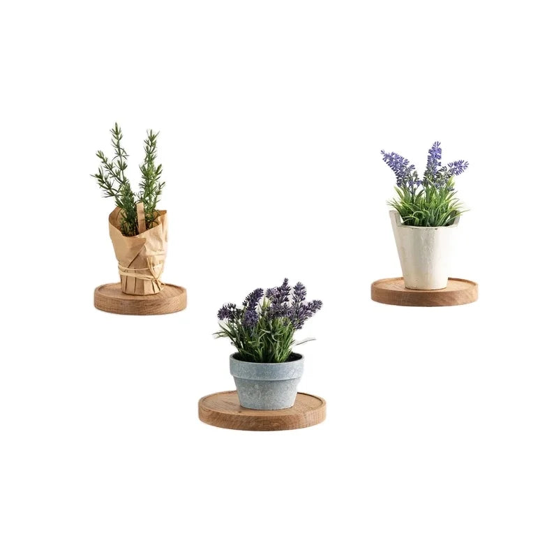JUNJI Rustic Small Round Shelf Wall Planter Holder Floating Shelf Window Plant Shelf Hanging