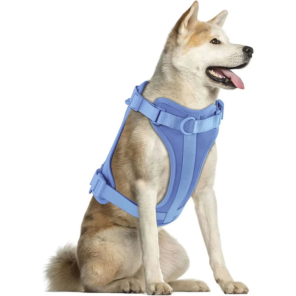 Manufacturers New ECO Friendly Nylon/Polyester Luxury Personalized Waterproof Safety Walking No Pull Dog Harness