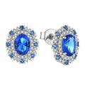 Natural Sapphire Earrings 925 Sterling Silver Women'S Royal Blue Precious ZIRCON Stones All Kinds of Gem Earrings Wholesale
