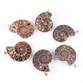 Ammonite Crystal Pendant with Low MOQ and Fast Delivery