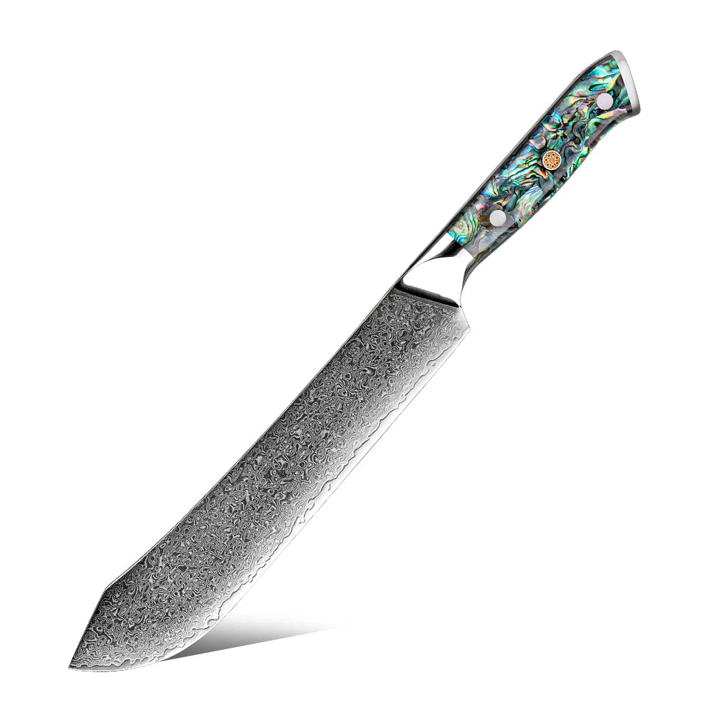 Grandsharp 9'' Slaughter Knife Japanese 67 Layers Damascus Steel Kitchen Slaughter Chef Knives Cutting with Abalone Shell Handle