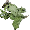 Raw Organic Natural Bulk Loose Pack Dried Peppermint Leaf for Tea